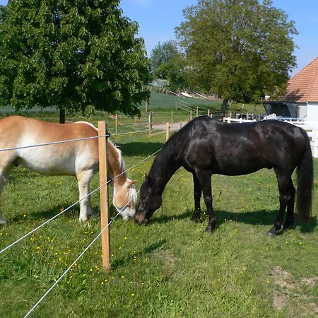 Lindenacker